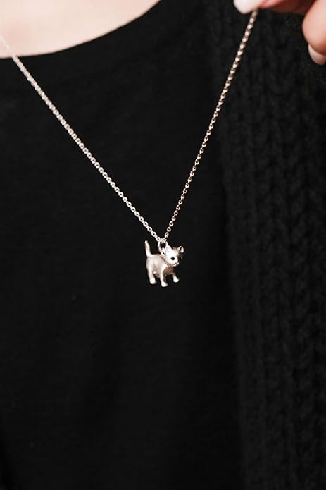 Cat Lover's Necklace - Cat Pendant for Women, Birthday Gifts for Her & Friends